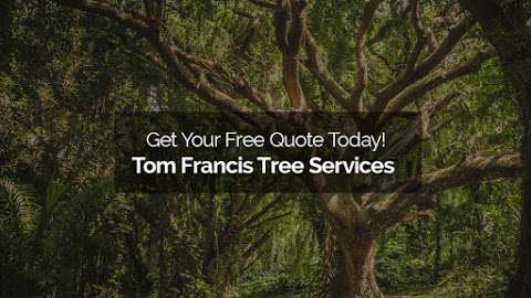 Tom Francis Tree Services photo